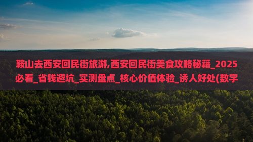 鞍山去西安回民街旅游 鞍山去西安回民街旅游