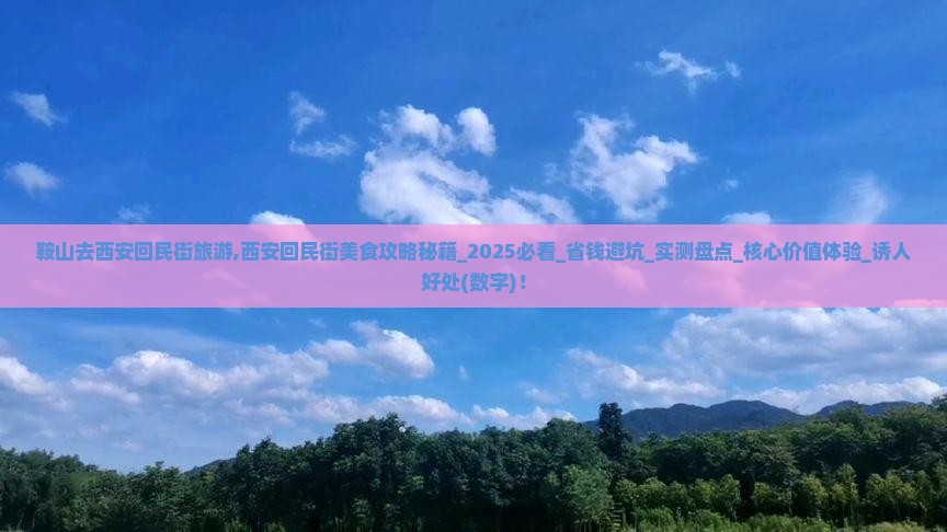 鞍山去西安回民街旅游 鞍山去西安回民街旅游