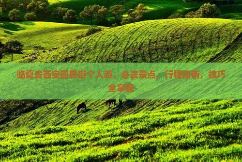 临夏去西安回民街个人游