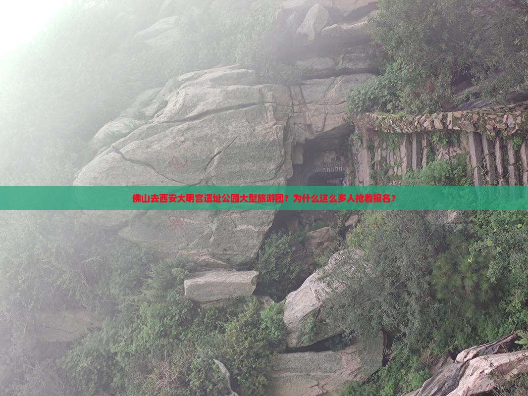 佛山去西安大明宫国家遗址公园大型旅游团