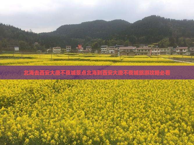 北海去西安大唐不夜城景点 北海去西安大唐不夜城景点