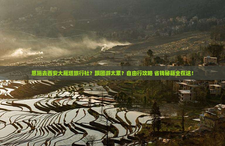 恩施去西安大雁塔旅行社