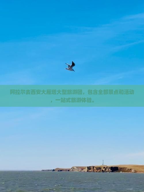 阿拉尔去西安大雁塔大型旅游团