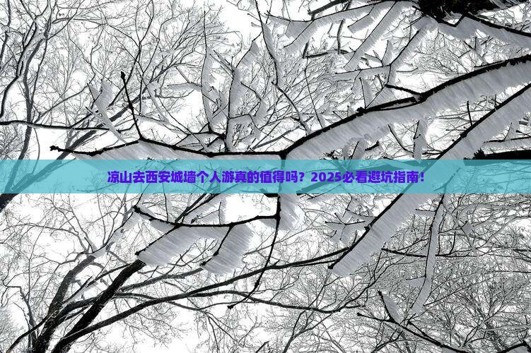 凉山去西安城墙个人游
