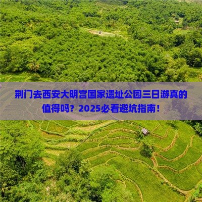 荆门去西安大明宫国家遗址公园三日游