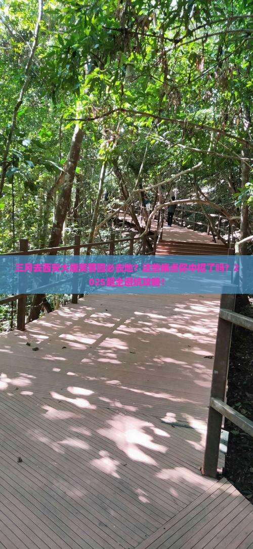 三月去西安大唐芙蓉园必去地