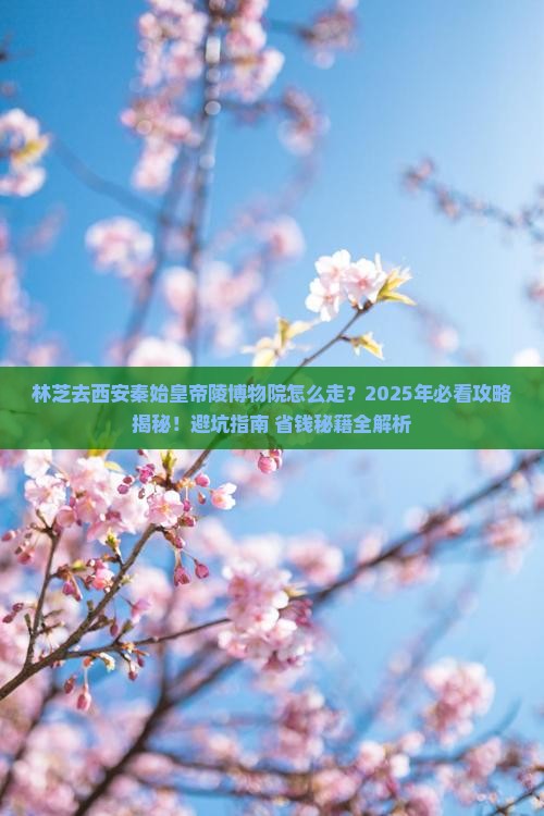 林芝去西安秦始皇帝陵博物院必去地