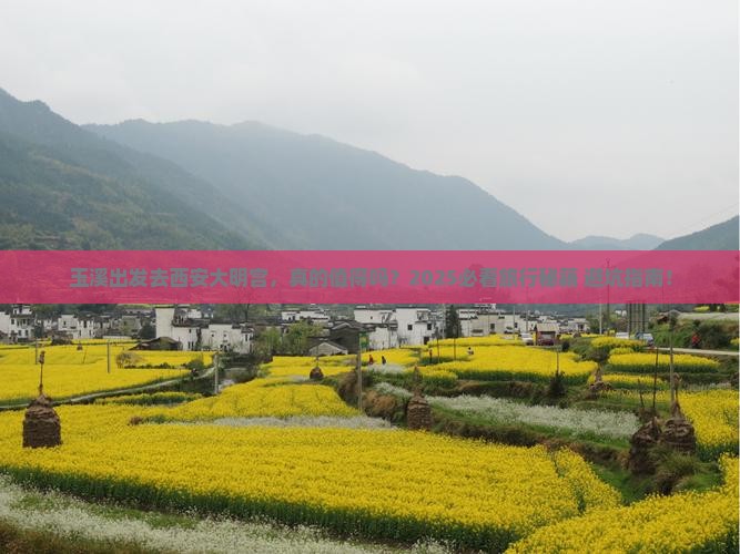 玉溪到西安大明宫国家遗址公园旅游