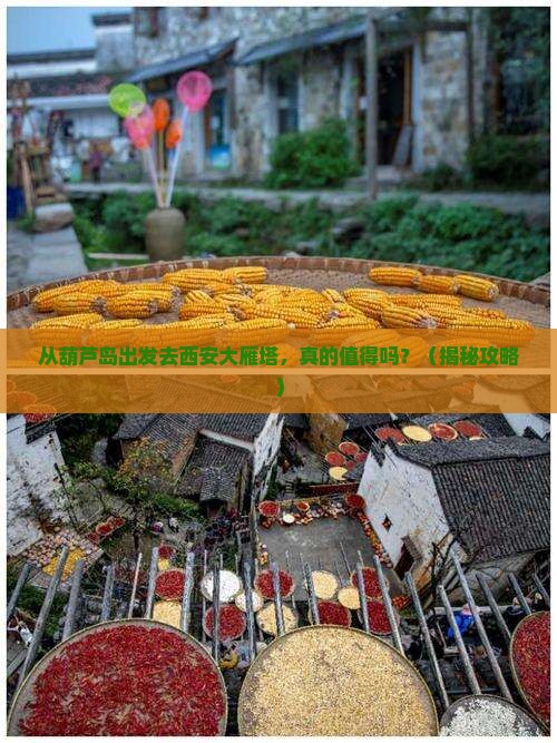 葫芦岛去西安大雁塔旅游