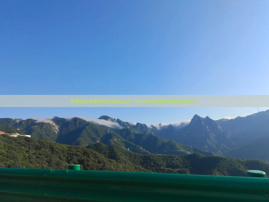 伊春去西安回民街旅行社