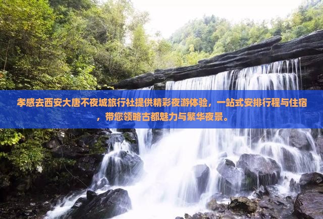 孝感去西安大唐不夜城旅行社