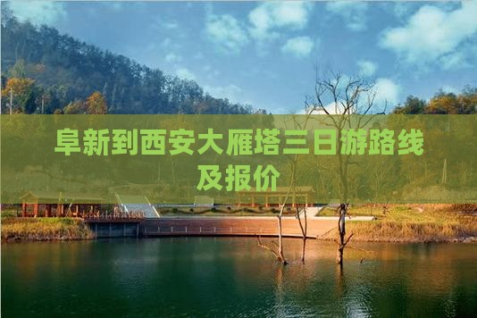 阜新到西安大雁塔三日游