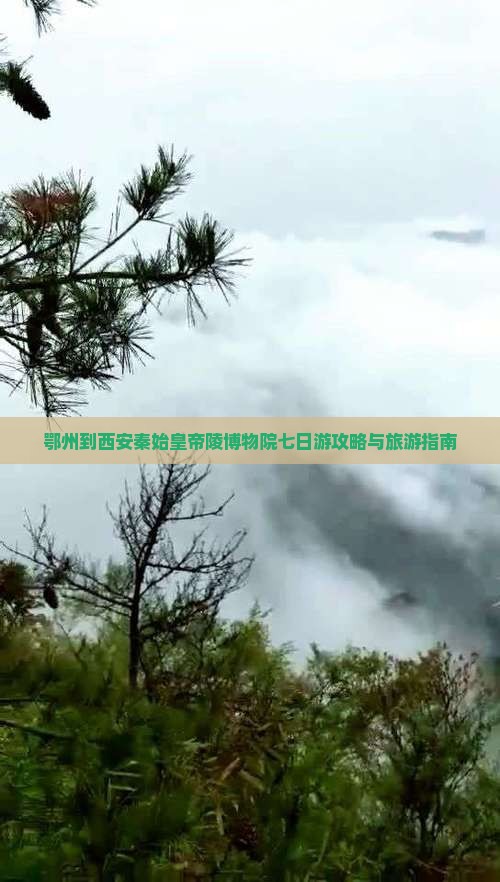 鄂州到西安秦始皇帝陵博物院七日游