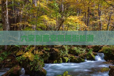 六安到西安回民街旅游