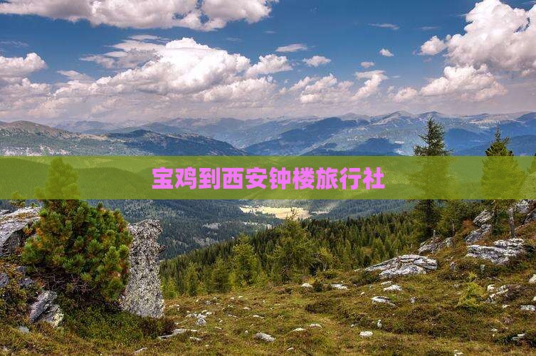 宝鸡到西安钟楼旅行社