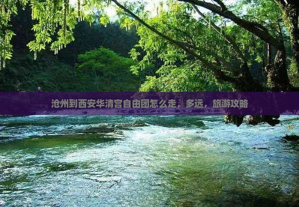 沧州到西安华清宫自由团