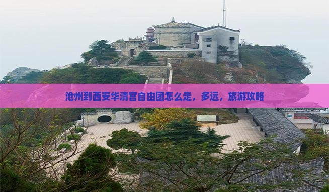沧州到西安华清宫自由团