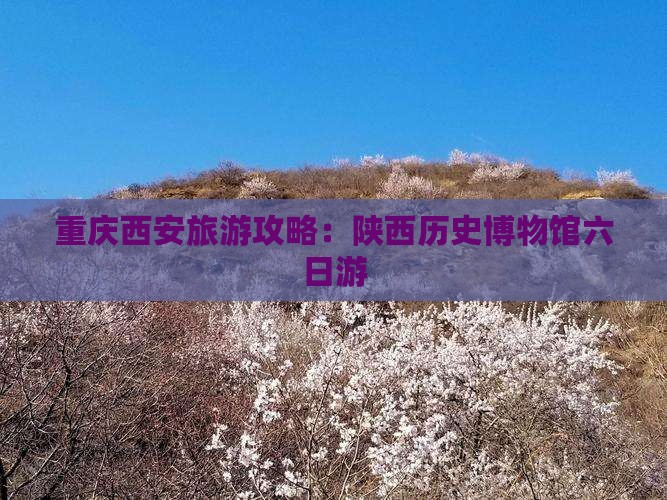 重庆去西安陕西历史博物馆六日游