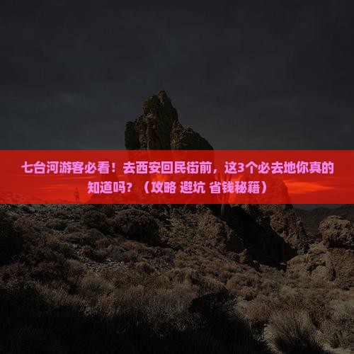 七台河去西安回民街必去地