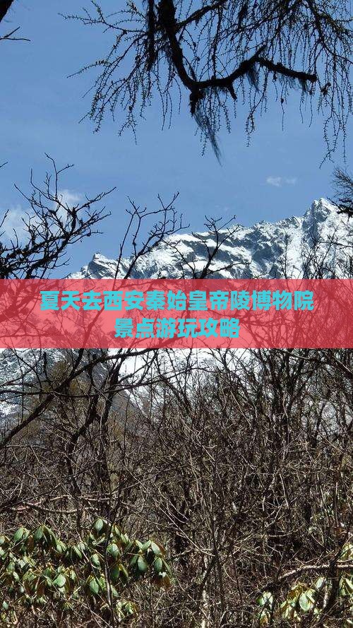 夏天去西安秦始皇帝陵博物院景点