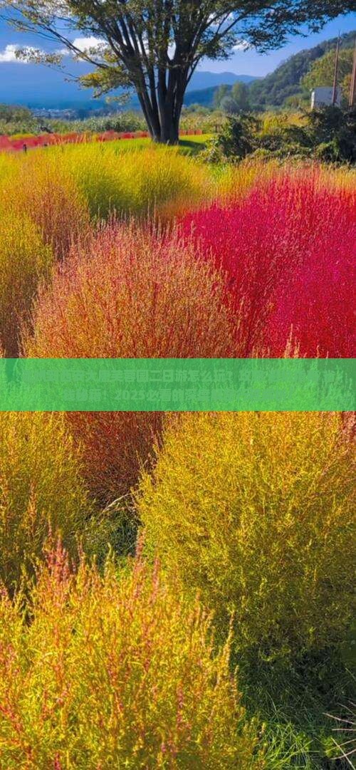 达州到西安大唐芙蓉园二日游 达州到西安大唐芙蓉园二日游
