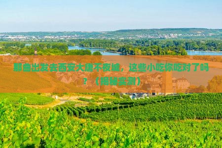 那曲去西安大唐不夜城旅游小吃