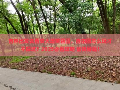 吉林到西安大唐芙蓉园自由团