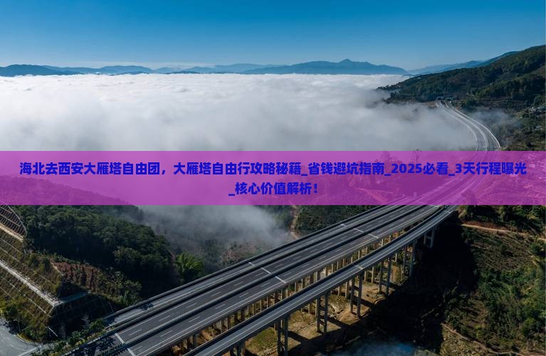 海北去西安大雁塔自由团
