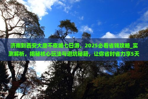 济南到西安大唐不夜城七日游