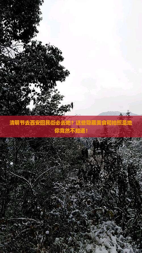 清明节去西安回民街必去地