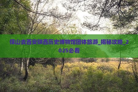 保山去西安陕西历史博物馆团体旅游