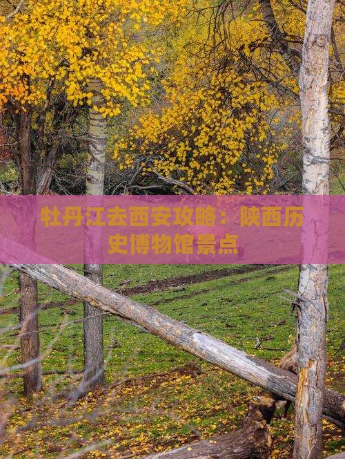 牡丹江去西安陕西历史博物馆景点 牡丹江去西安陕西历史博物馆景点