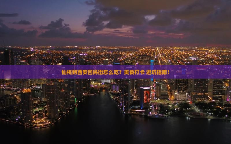 仙桃到西安回民街旅游小吃