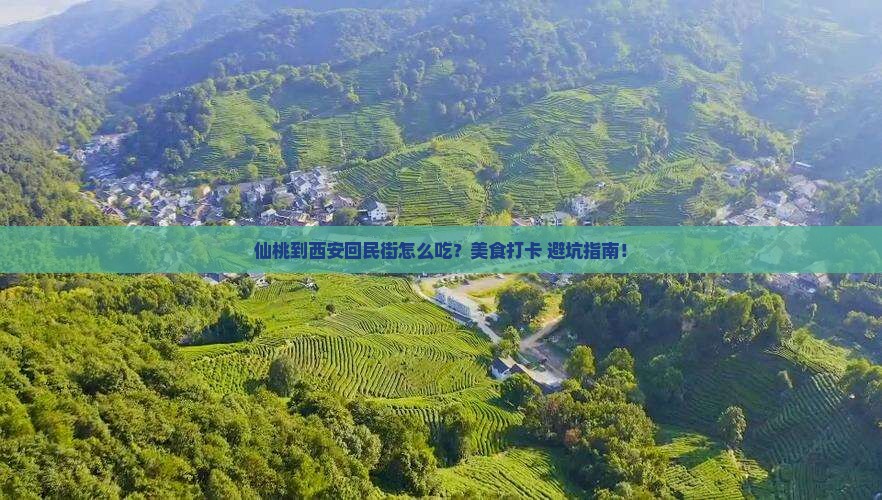 仙桃到西安回民街旅游小吃