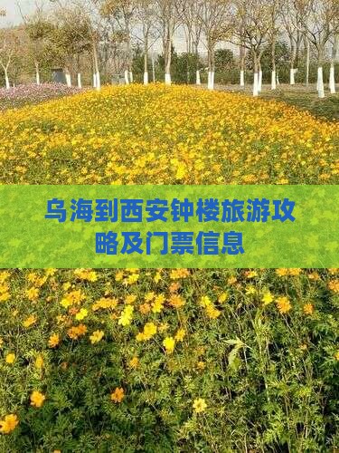 乌海市到西安钟楼门票