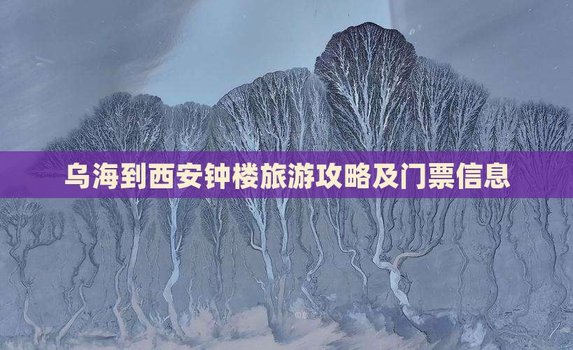 乌海市到西安钟楼门票