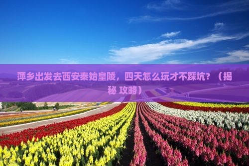 萍乡去西安秦始皇帝陵博物院四日游