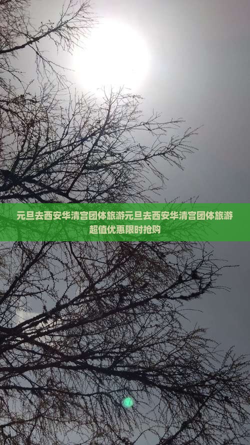 元旦去西安华清宫团体旅游