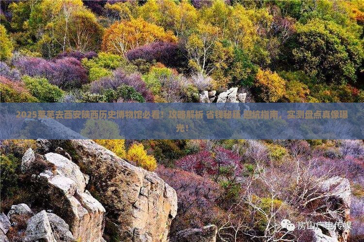 莱芜去西安陕西历史博物馆攻略
