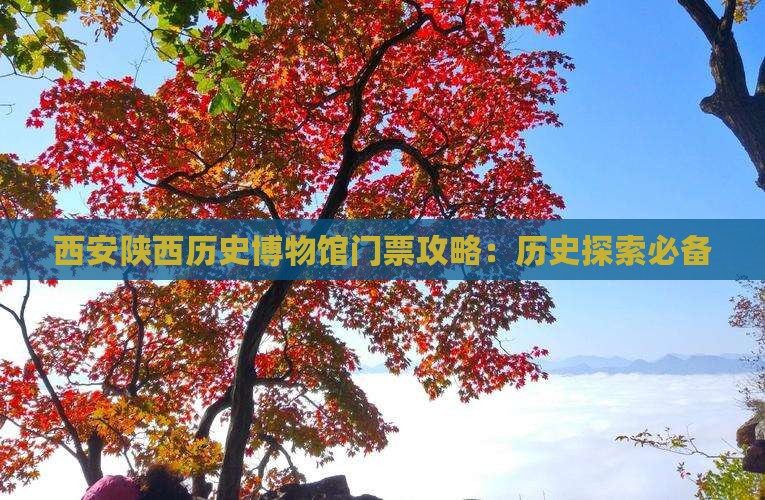 江门去西安陕西历史博物馆门票