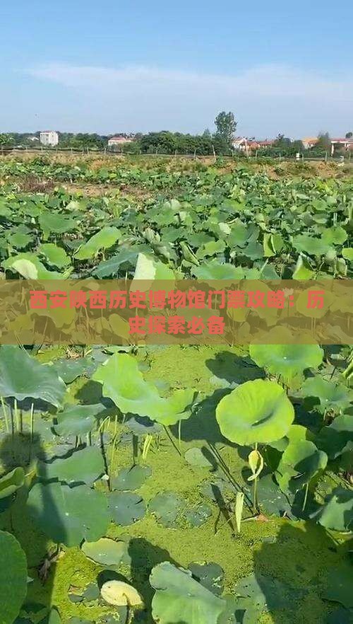江门去西安陕西历史博物馆门票