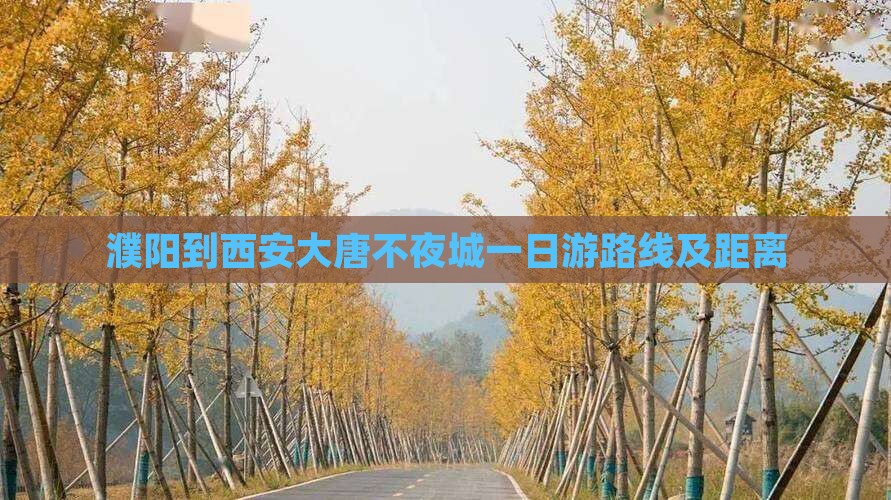 濮阳到西安大唐不夜城一日游