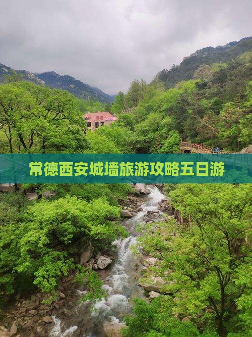 常德去西安城墙五日游
