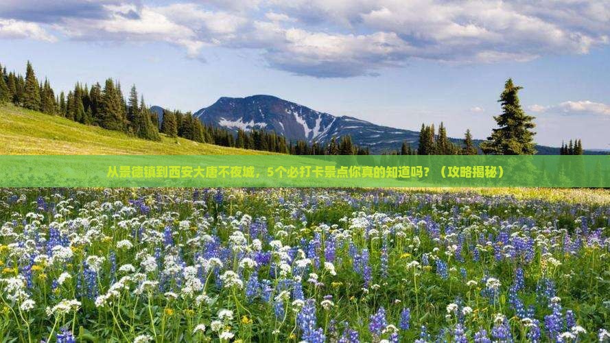 景德镇去西安大唐不夜城哪里玩