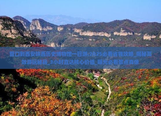 营口到西安陕西历史博物馆一日游