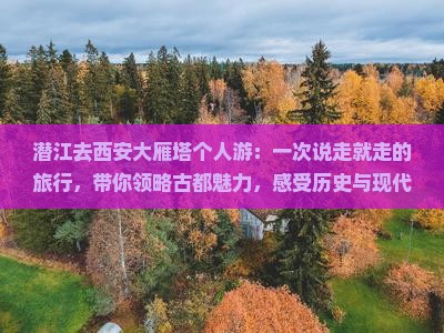 潜江去西安大雁塔个人游
