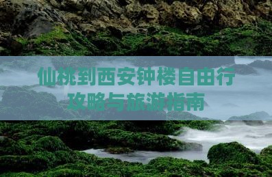 仙桃到西安钟楼自由行