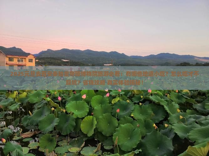 元旦去西安秦始皇帝陵博物院旅游小吃