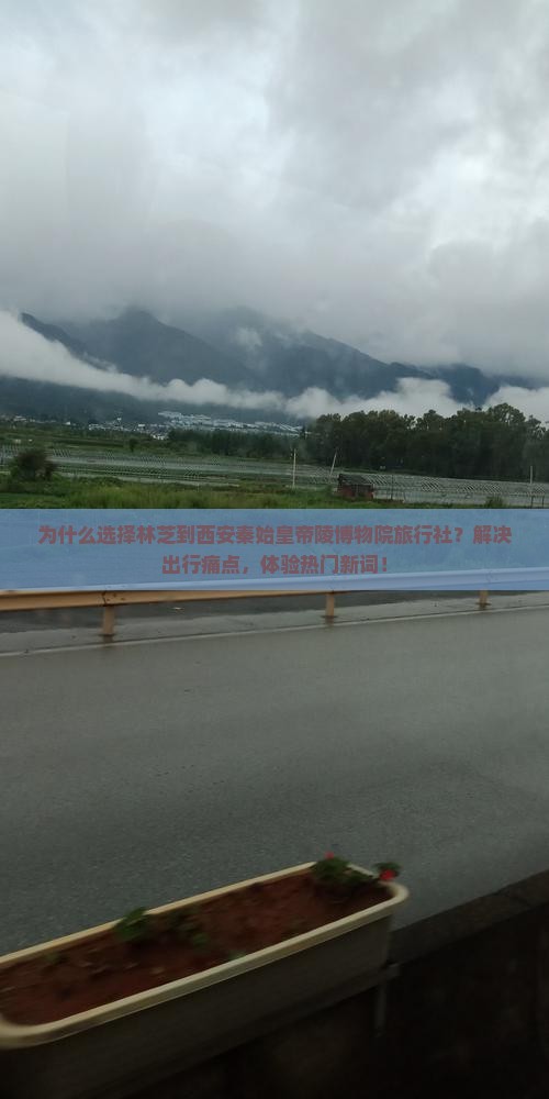 林芝到西安秦始皇帝陵博物院旅行社