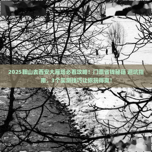 鞍山到西安大雁塔门票